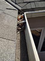 Clean Pro Gutter Cleaning Riverside image 3